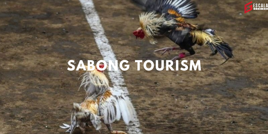 Sabong Tourism