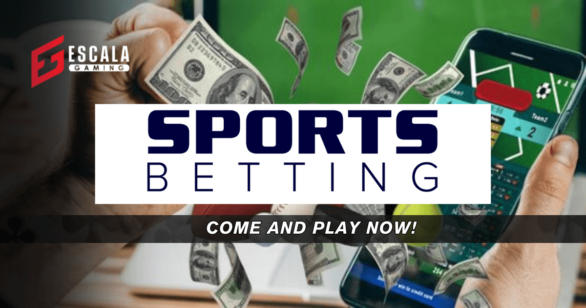 Sports Betting Options
